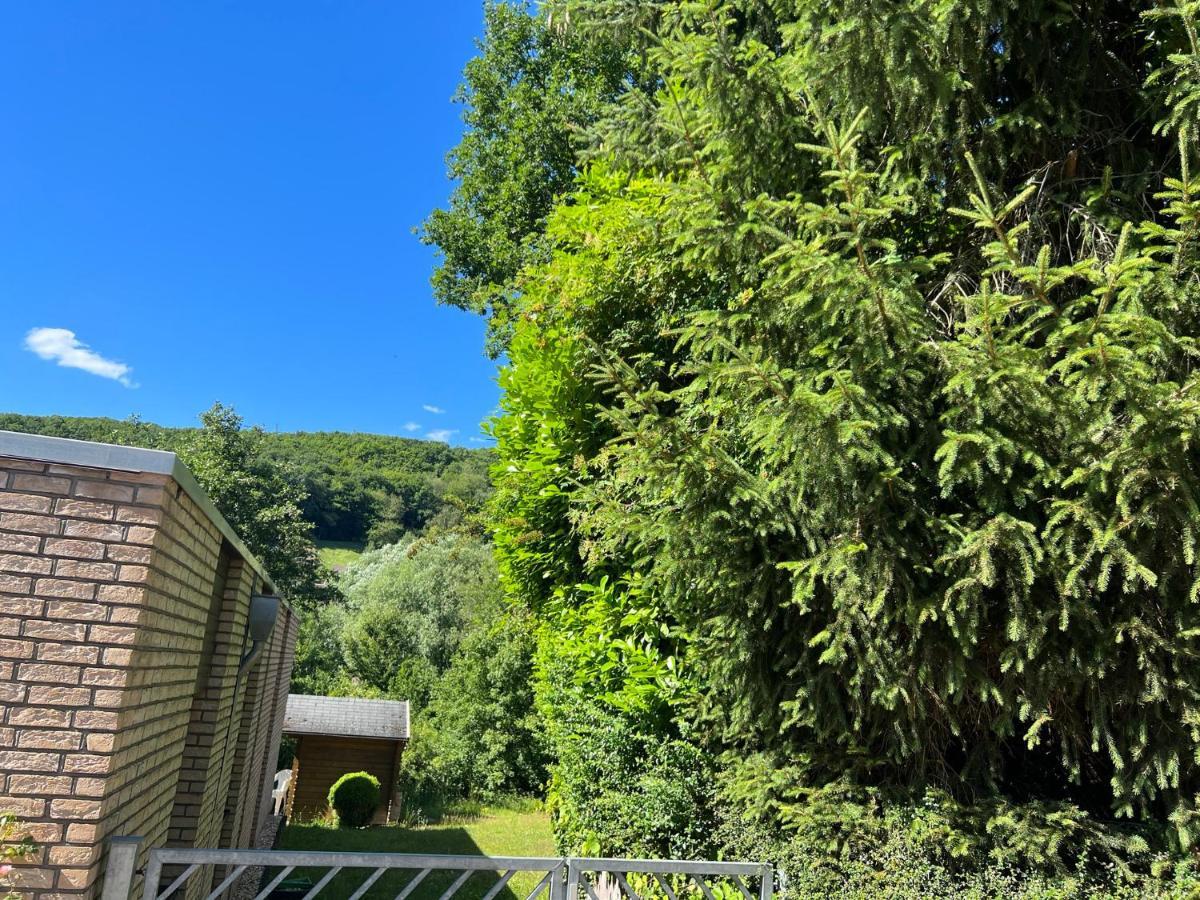 Gaestehaus Zum Buchenweg Hasenfeld 外观 照片