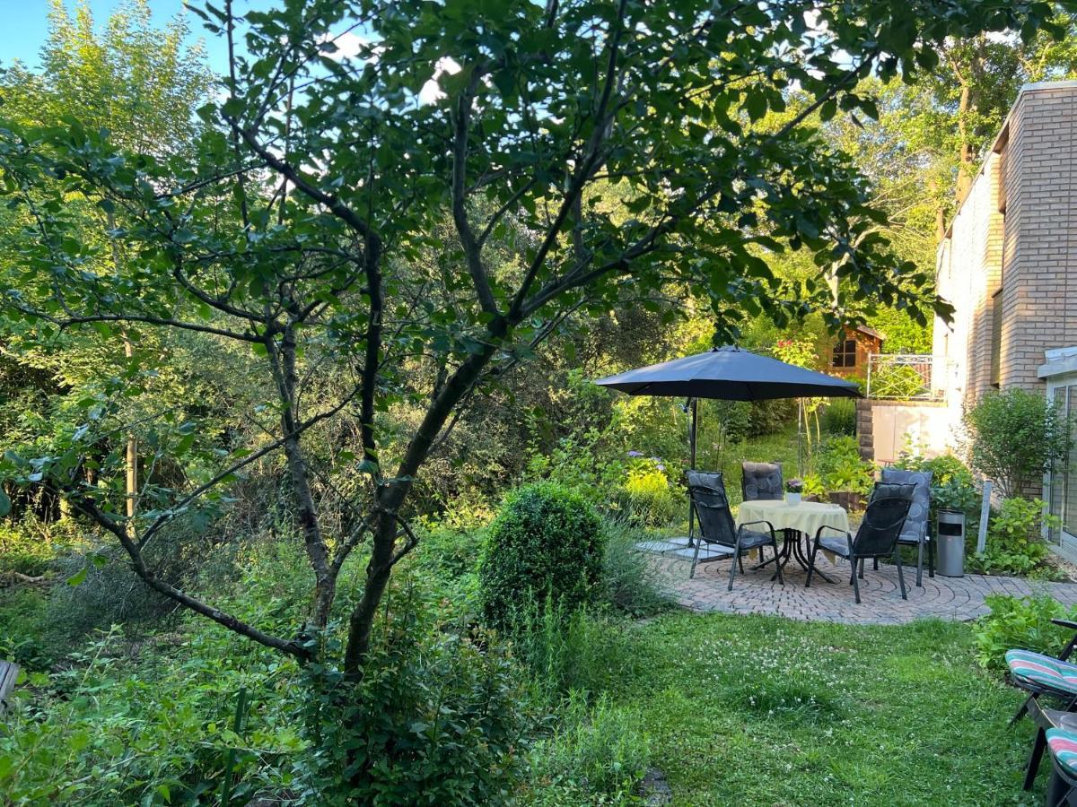 Gaestehaus Zum Buchenweg Hasenfeld 外观 照片